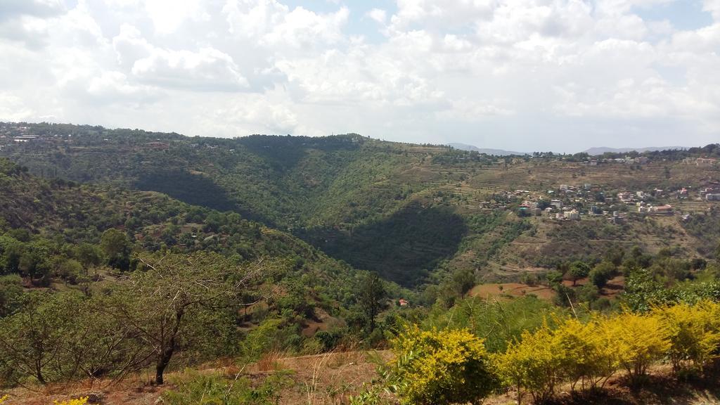 Hill Top Villa Panchgani Exterior photo